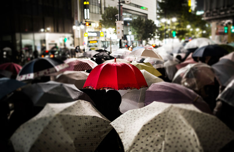 People Walking with Umbrellas in City - Personal Umbrella Insurance Ontario - DG Bevan Insurance Brokers